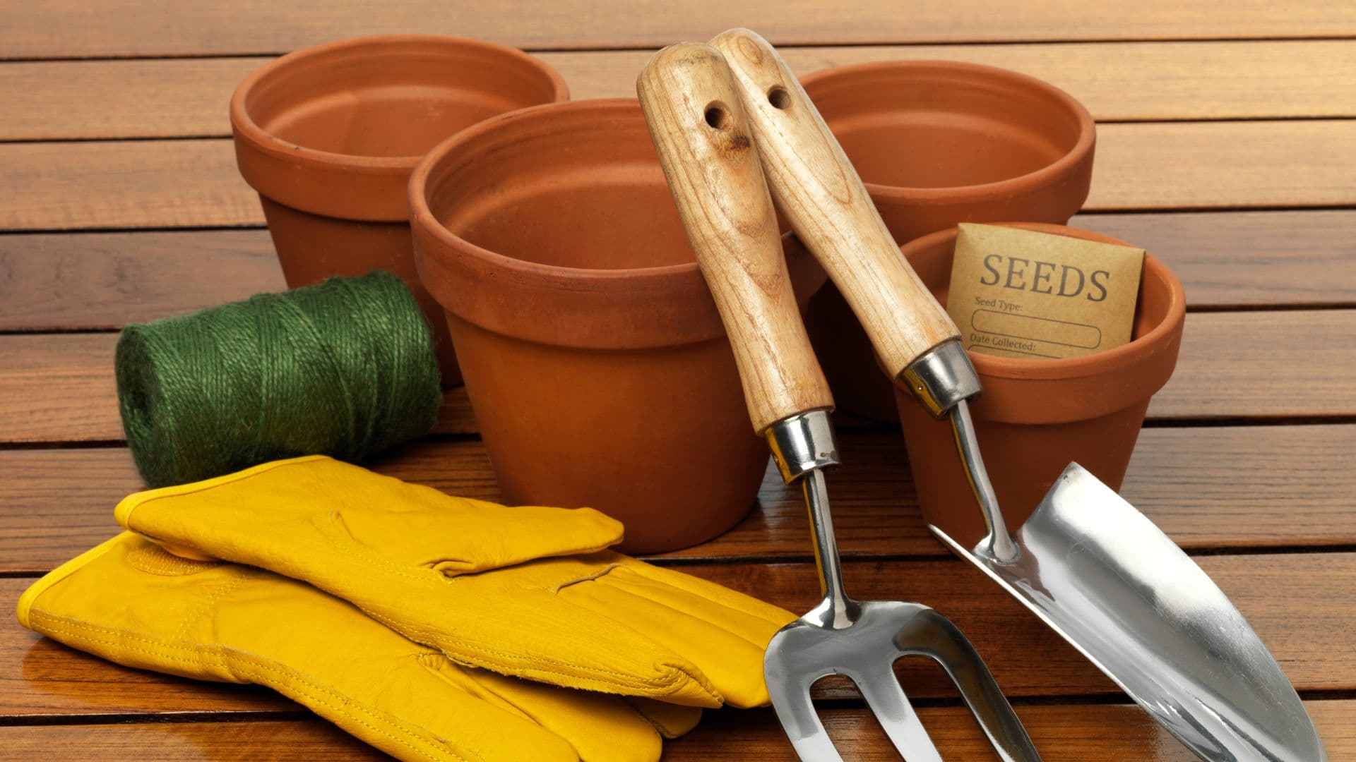 Gardening Starter Kit