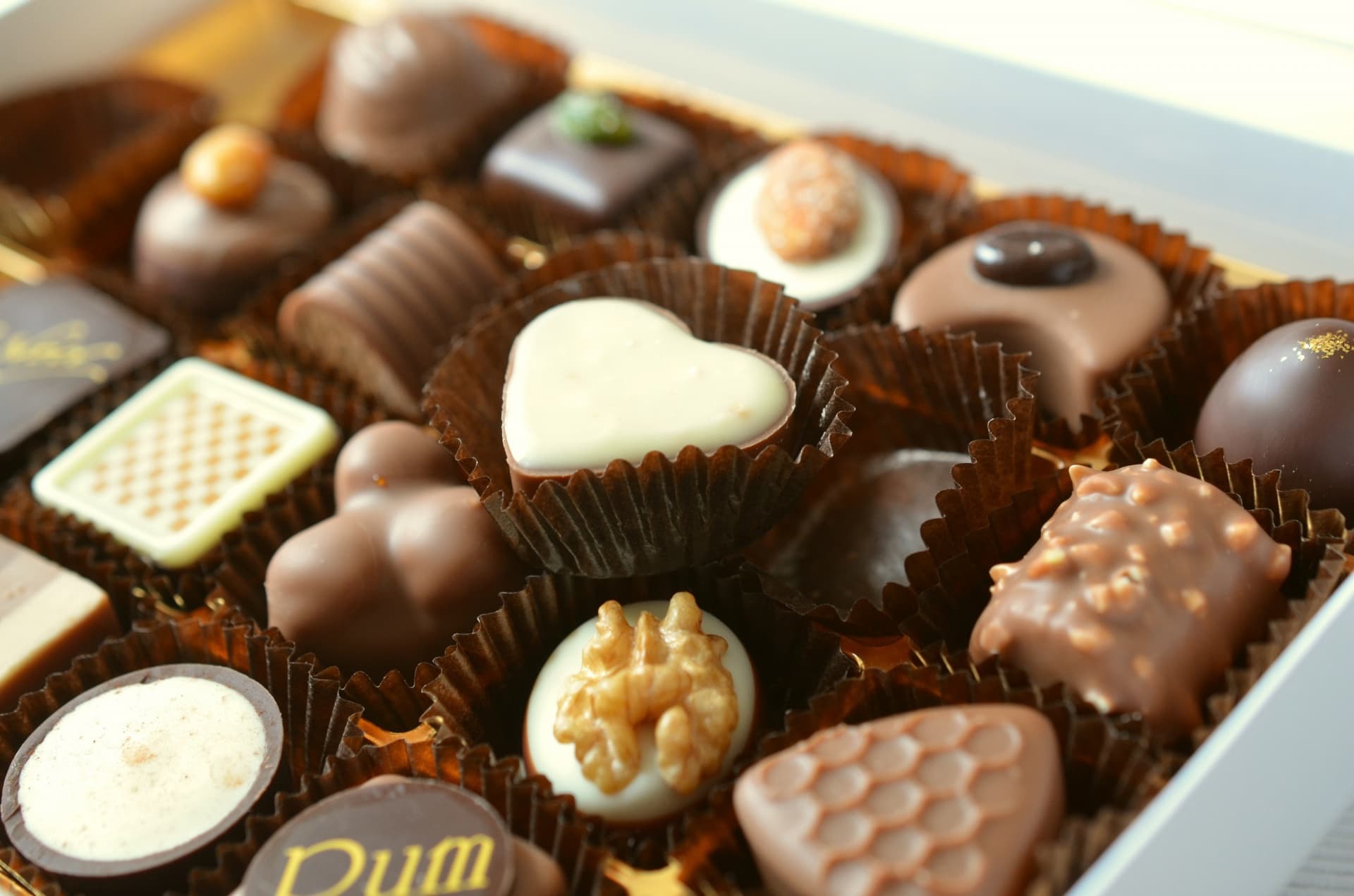 Gourmet Chocolate Box